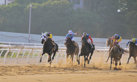 201206101.jpg