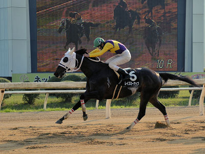201206102.jpg