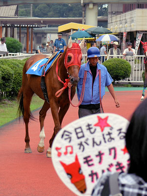 201207141.jpg