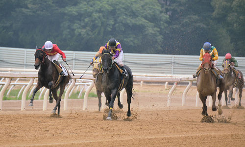 201207143.jpg