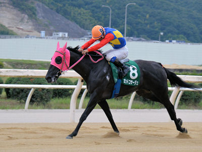 201209092.jpg