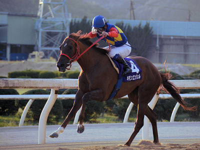 201210072.jpg