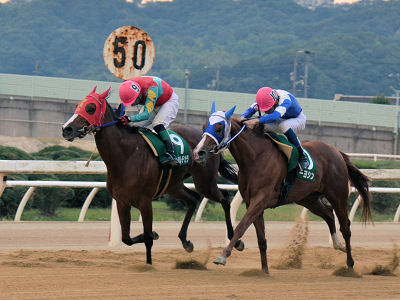 201210132.jpg