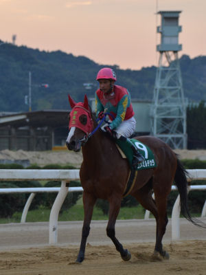 201210133.jpg