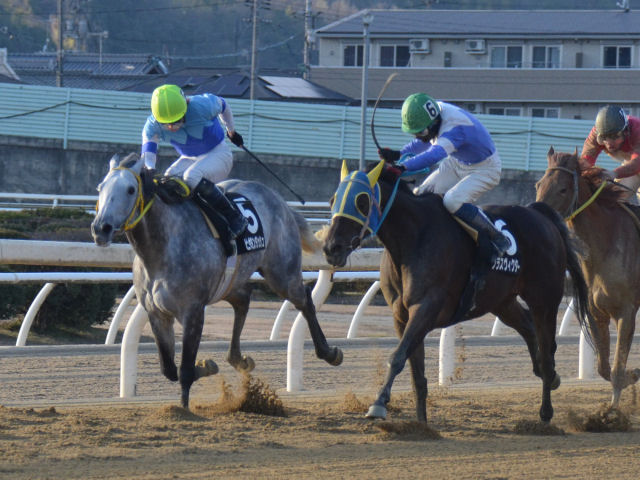 201301032.jpg