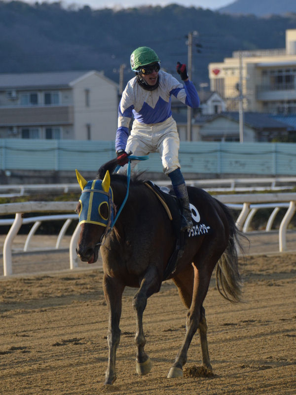 201301033.jpg