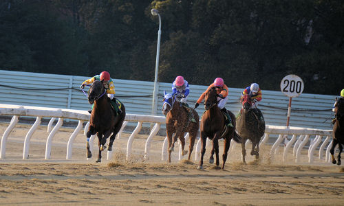 201302101.jpg