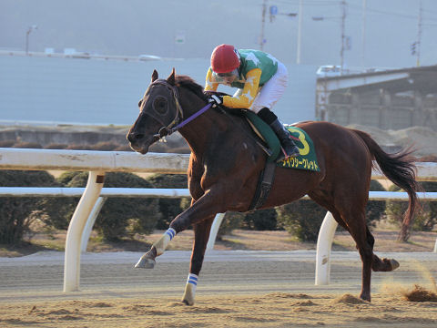 201302102.jpg