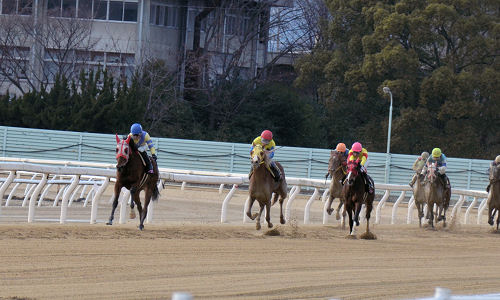 201302161.jpg