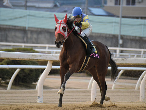 201302162.jpg