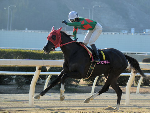 201302242.jpg