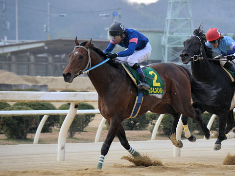 201303102.jpg