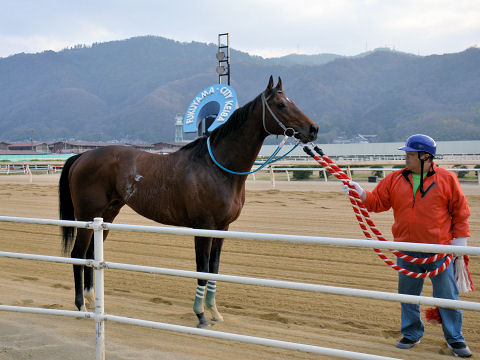 201303103.jpg