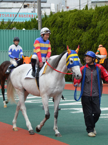 201303231.jpg