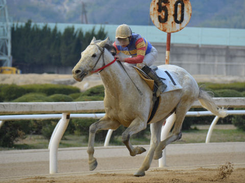 201303232.jpg