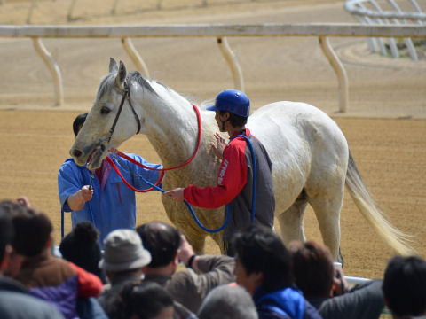 201303234.jpg