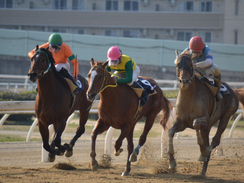 201303236.jpg