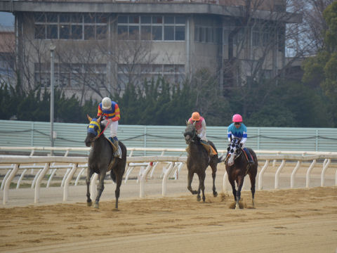 2013032414.jpg
