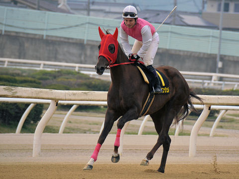 2013032421.jpg