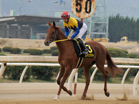 2013032423.jpg