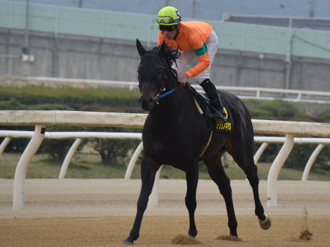 2013032425.jpg