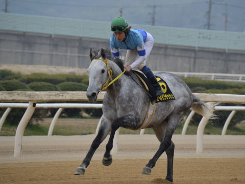 2013032426.jpg