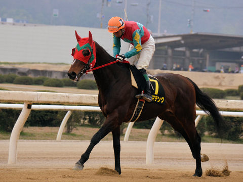 2013032427.jpg