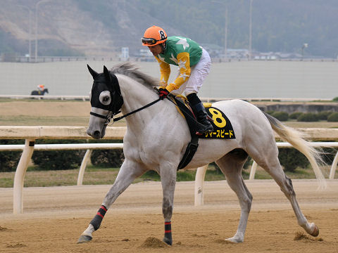 2013032428.jpg