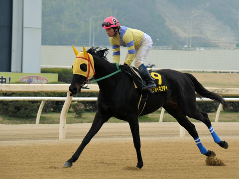2013032429.jpg