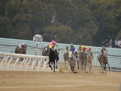 2013032436.jpg