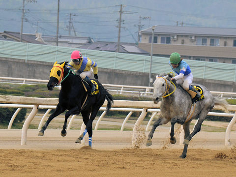 2013032437.jpg
