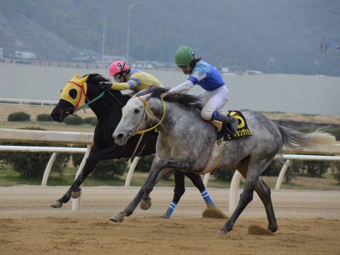 2013032438.jpg