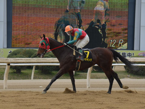 2013032439.jpg