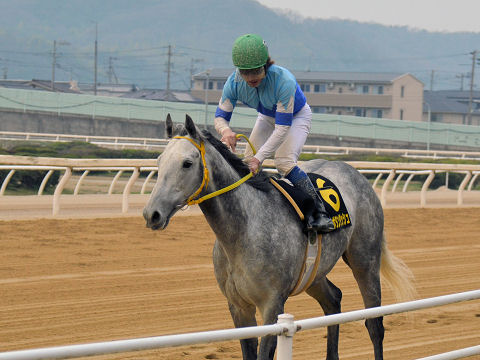 2013032440.jpg