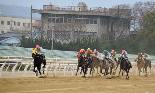 2013032443.jpg
