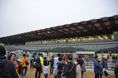 2013032454.jpg