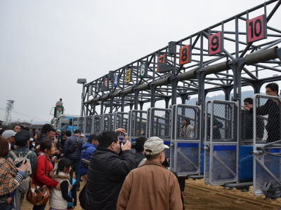 2013032455.jpg