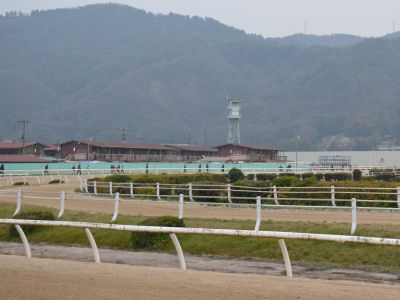 2013032456.jpg
