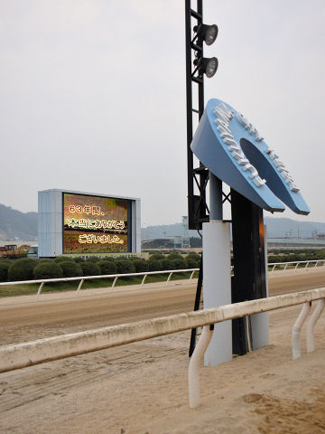 2013032457.jpg