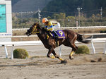 kurofune5.jpg