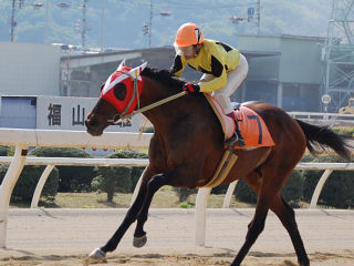 tiazubonito.jpg